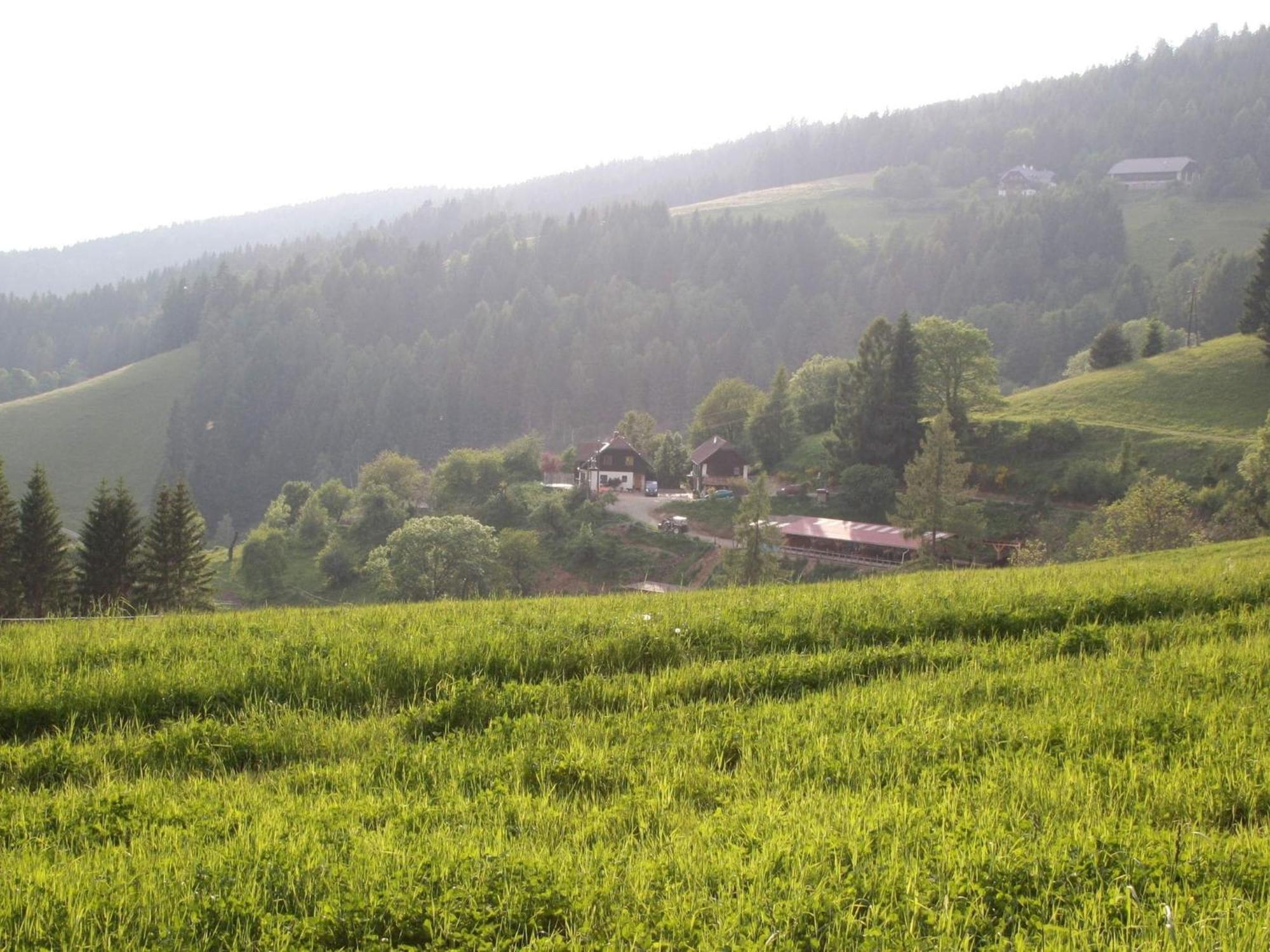 Detached Wooden Chalet In Liebenfels Carinthia Near The Simonh He Ski Area Exterior photo